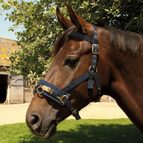 45fea728-ba99-4b9c-bb46-1e019264734b__46121